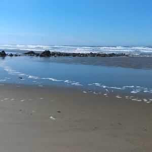 Meet your Posher, Andy